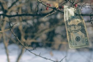 Energy Impact Partners Backs Greentech Zolar, Increases Series B to 35 Million
